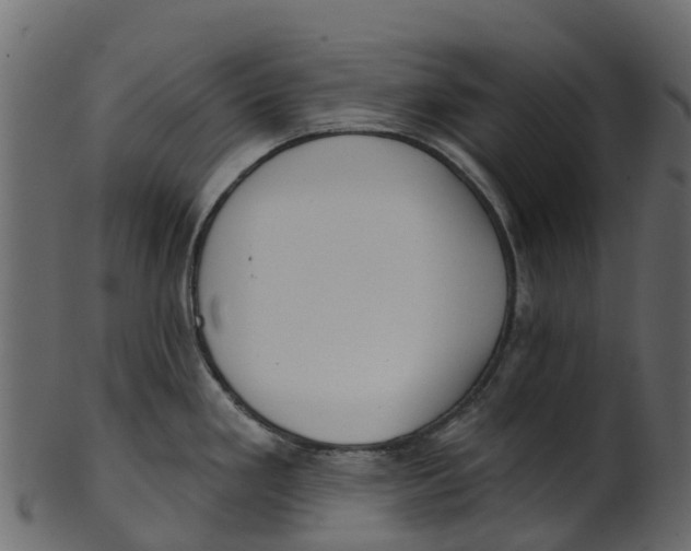 X0000100471293200807031819