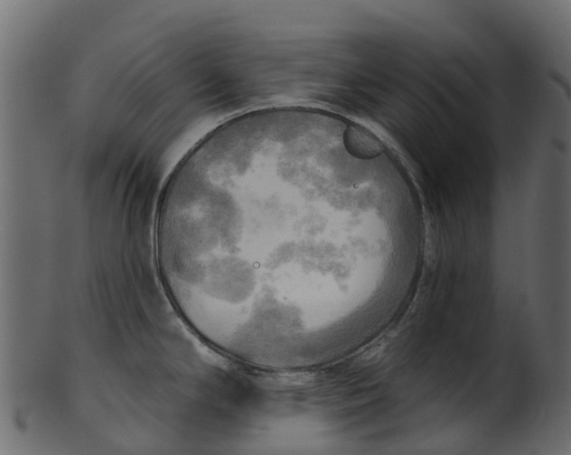 X0000100471294200807031818