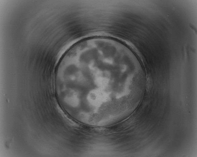 X0000100471295200807031818