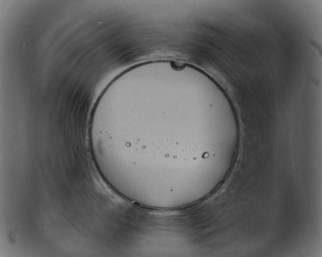 X0000100471296200807031818