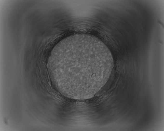 X0000100471297200807031818