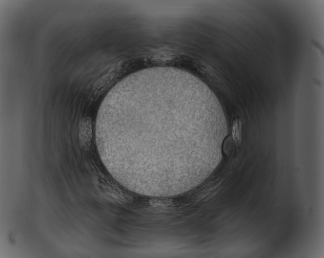 X0000100471299200807031818