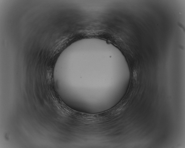 X0000100471300200807031818