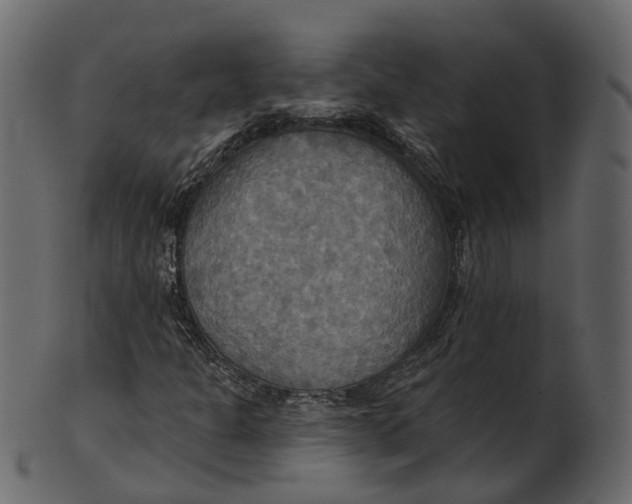 X0000100471301200807031818