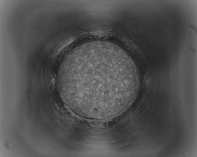 X0000100471302200807031818