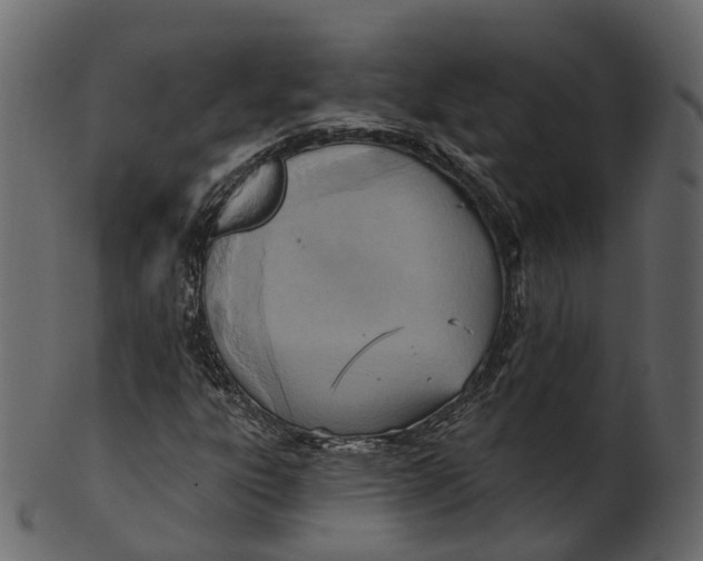 X0000100471303200807031818