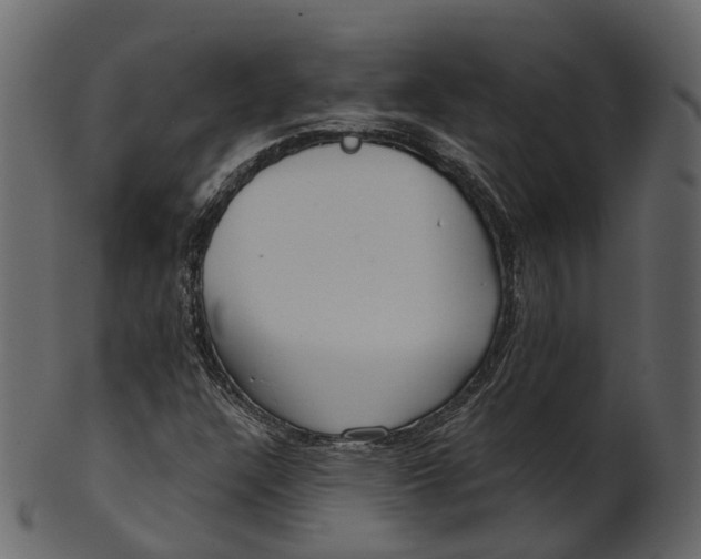 X0000100471304200807031818