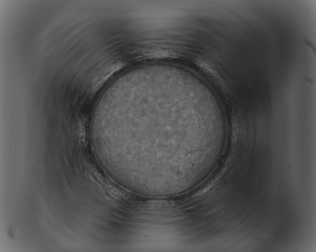 X0000100471305200807031818