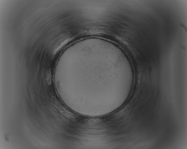 X0000100471306200807031818