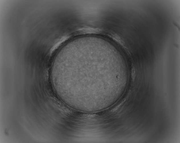 X0000100471309200807031818