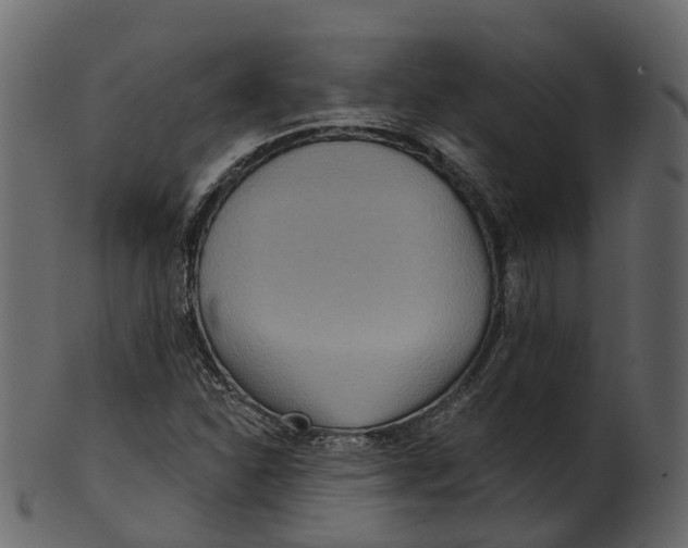 X0000100471310200807031818