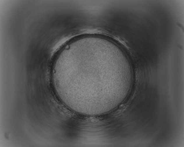 X0000100471311200807031818