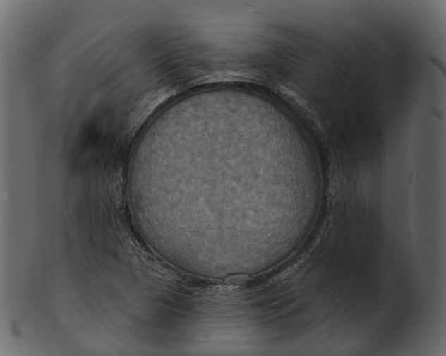 X0000100471313200807031818