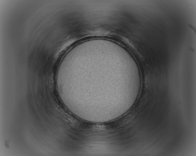 X0000100471315200807031818