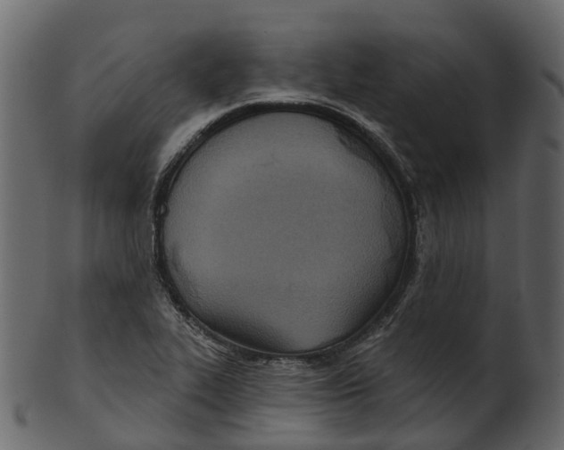 X0000100471319200807031818