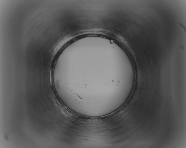 X0000100471320200807031818