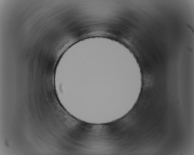 X0000100471322200807031818