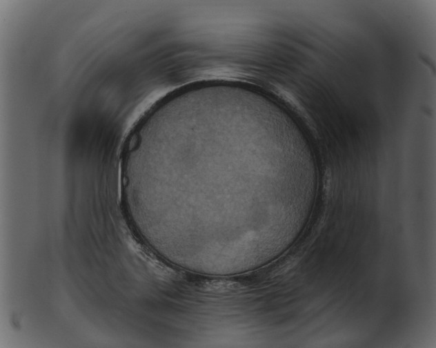 X0000100471323200807031818