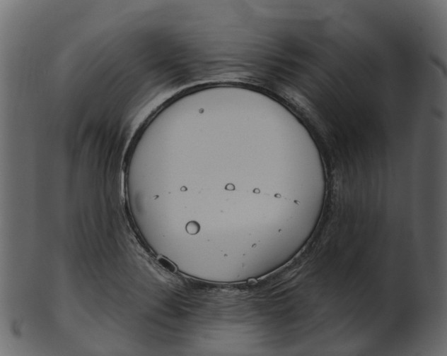 X0000100471324200807031818