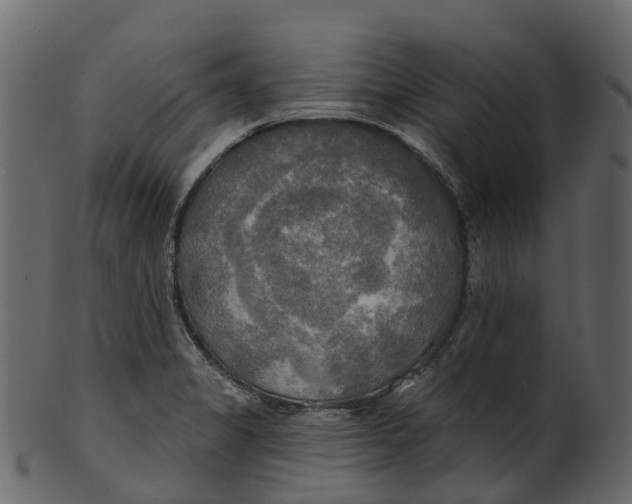 X0000100471325200807031818