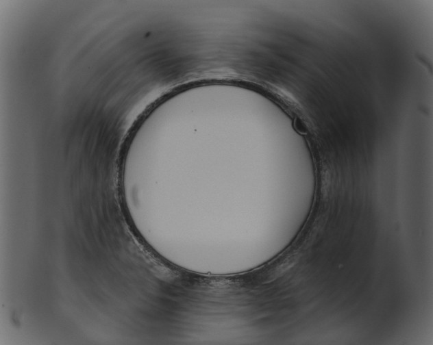 X0000100471326200807031818