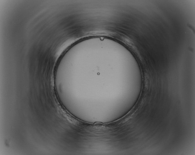 X0000100471328200807031818