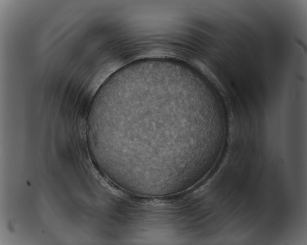 X0000100471329200807031818