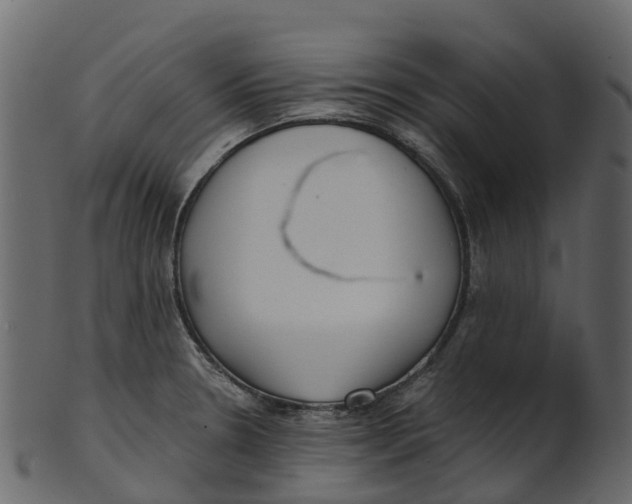 X0000100471330200807031818