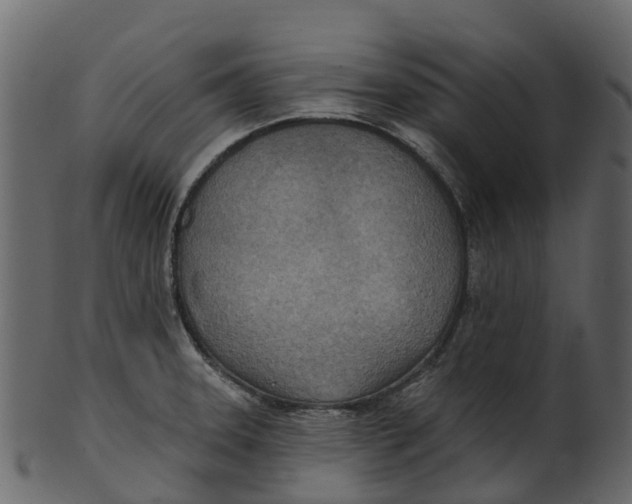 X0000100471331200807031818