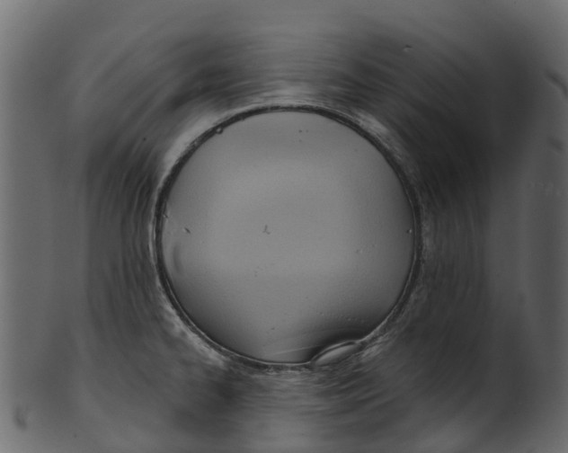 X0000100471334200807031818