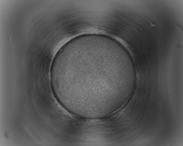 X0000100471335200807031818