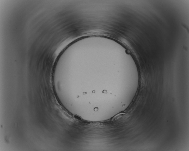 X0000100471336200807031818