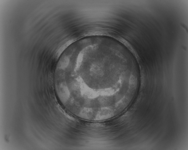 X0000100471337200807031818