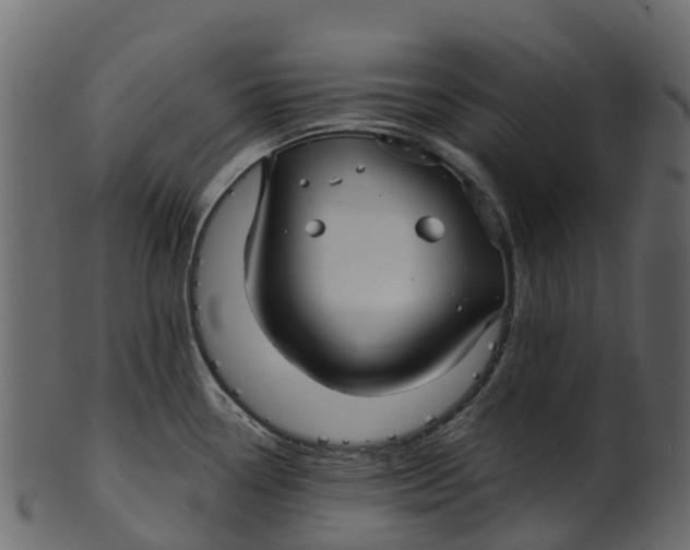 X0000100471338200807031818