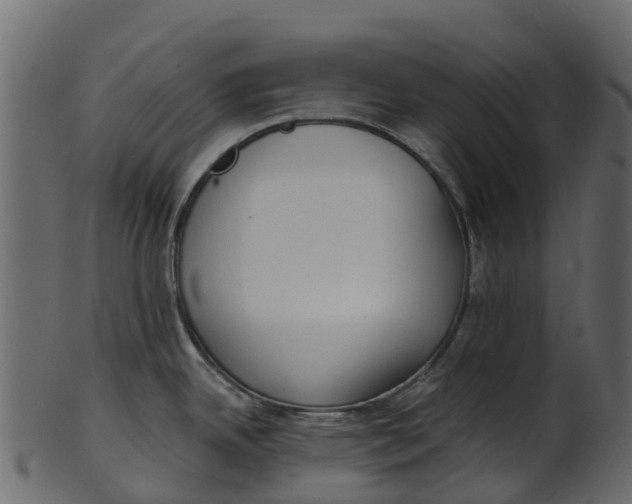 X0000100471342200807031818