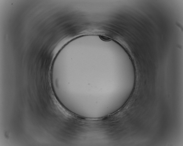 X0000100471344200807031818