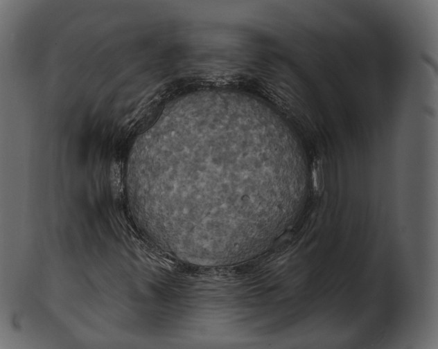 X0000100471347200807031818