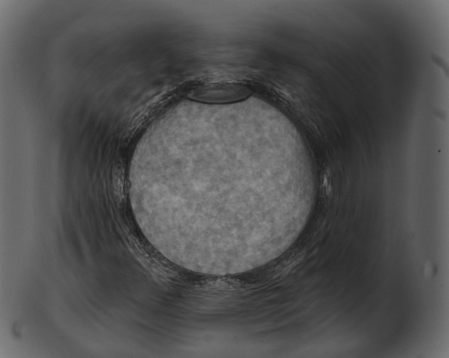 X0000100471348200807031818