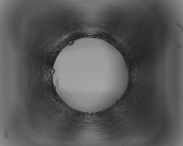 X0000100471349200807031818