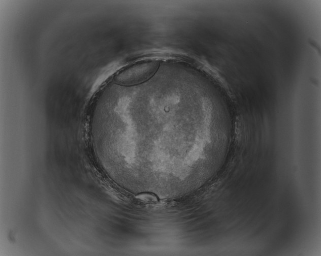 X0000100471352200807031818