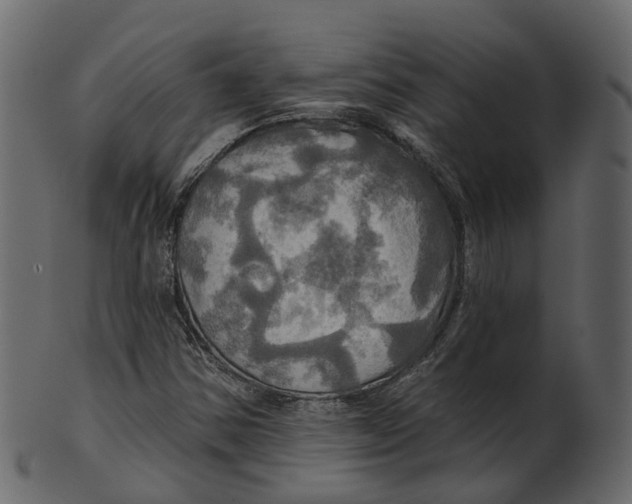 X0000100471354200807031818