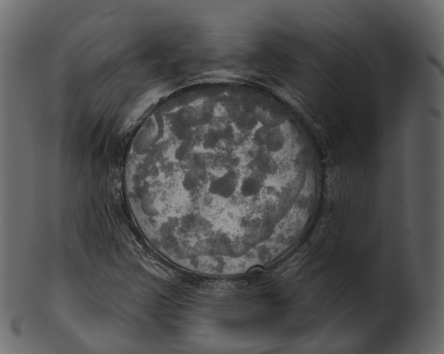 X0000100471355200807031818