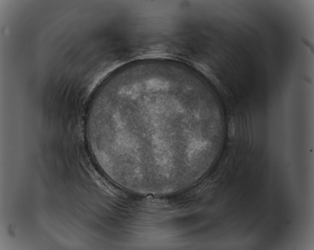 X0000100471356200807031818