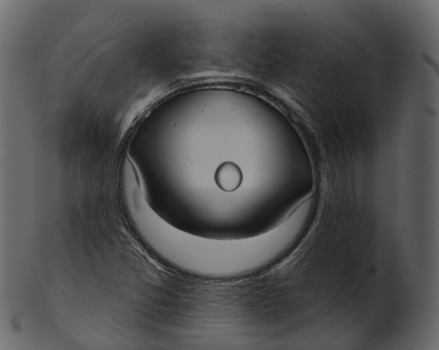 X0000100471357200807031818