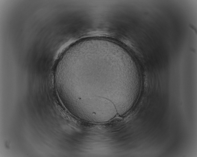 X0000100471358200807031818