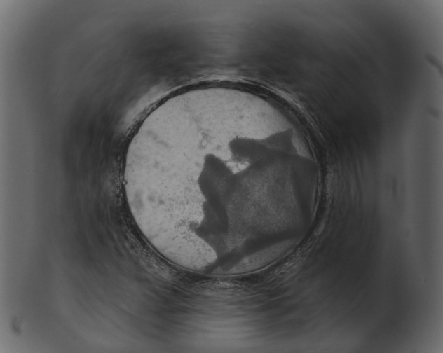 X0000100471359200807031818