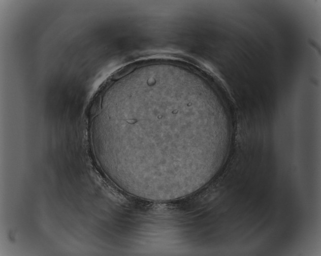 X0000100471360200807031817