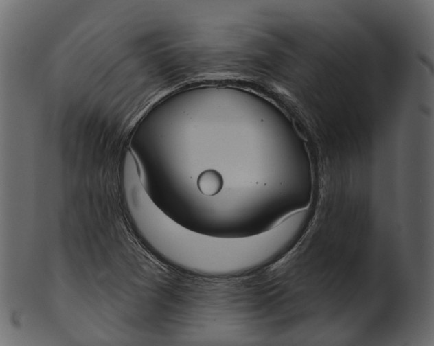 X0000100471361200807031817