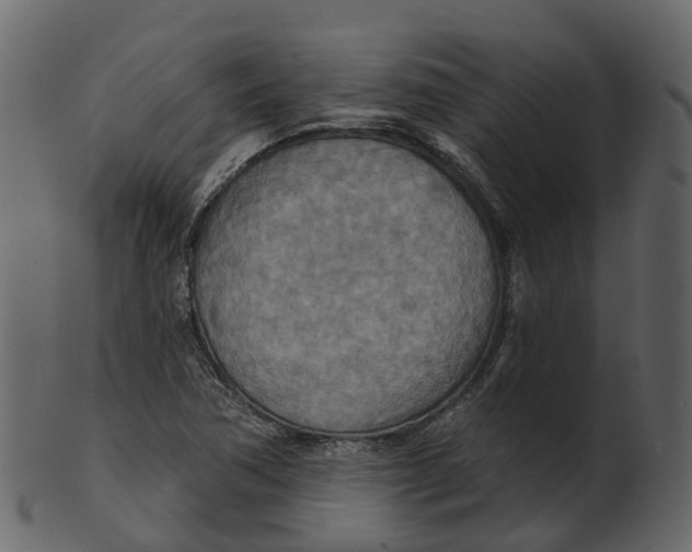 X0000100471362200807031817