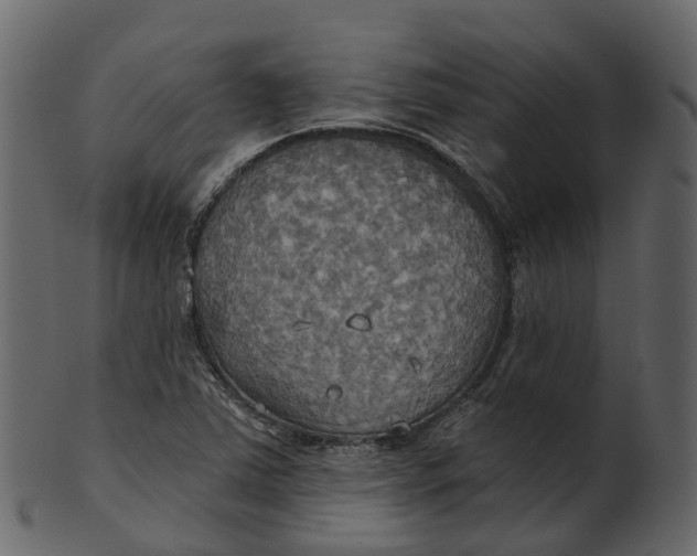 X0000100471363200807031817